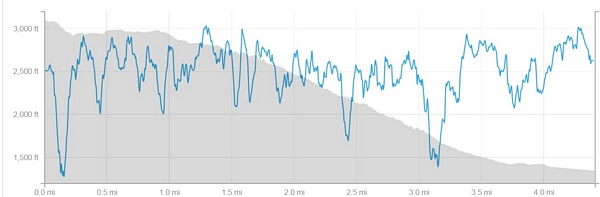 tn_spicewood descent mileage